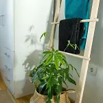 Апартаменти Sweet *